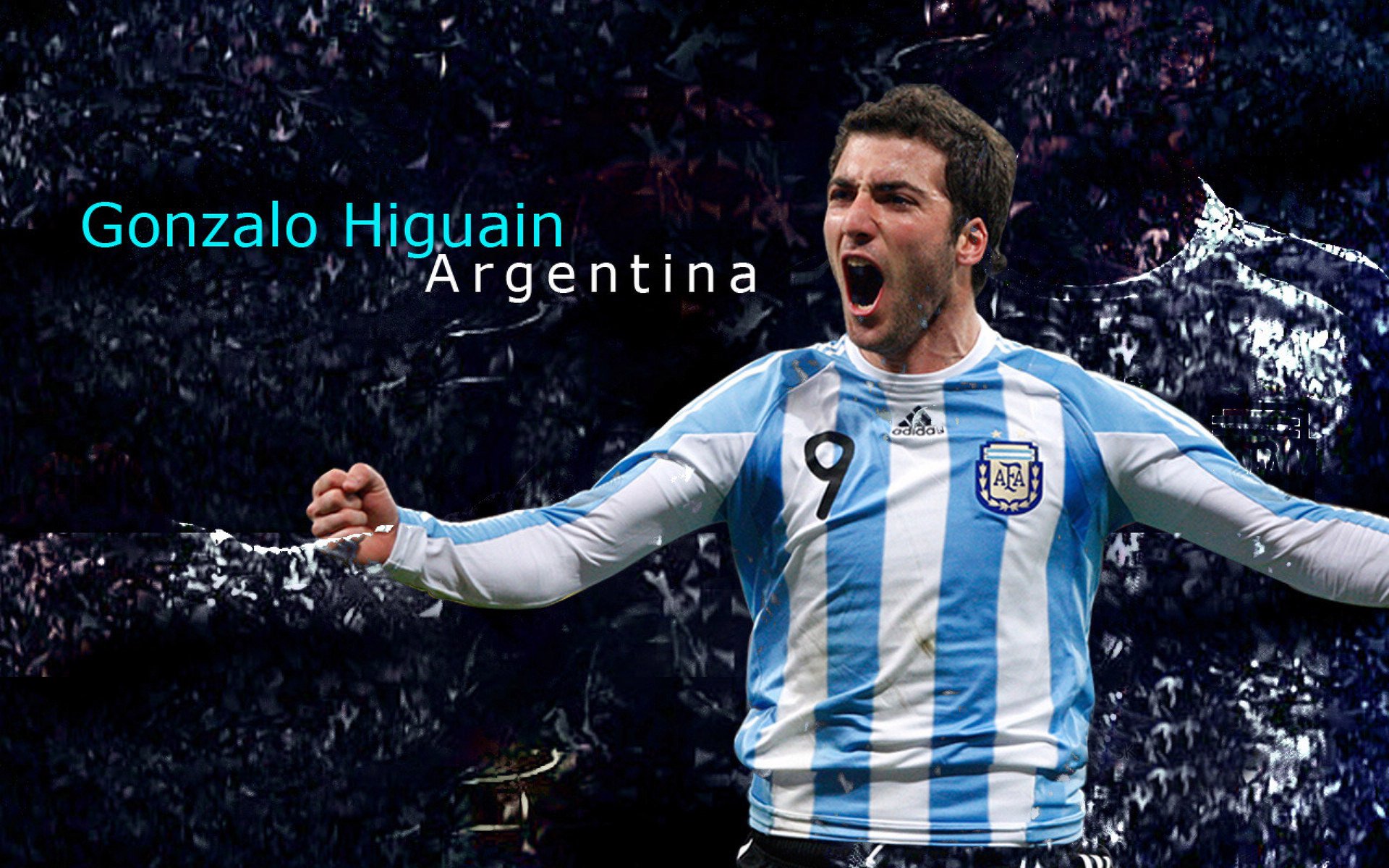 游泳选手数量虽少,但技术集中度高,游泳选手名单